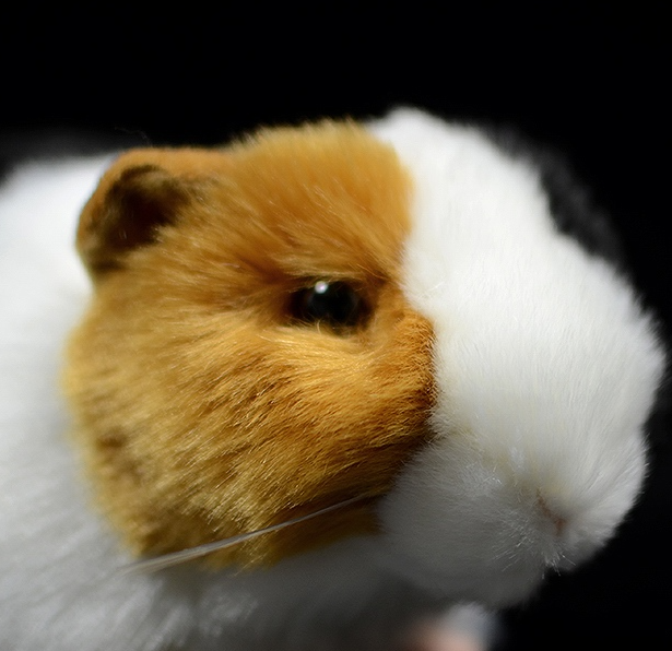 Plush Guinea Pig Toy