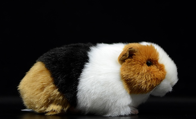 Plush Guinea Pig Toy