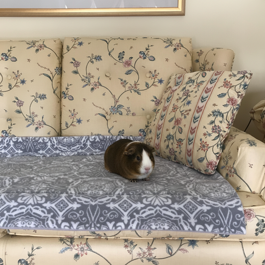 Cage liner with guinea pig on couch